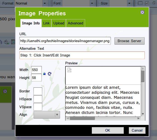 Step 3: Once you have uploaded the image file, you can select the file in Image Info Tab. Select OK.