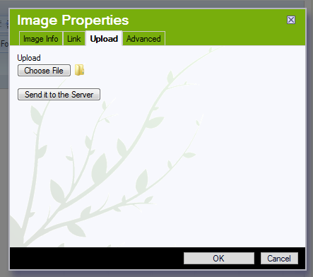 Step 2: Goto Upload Tab, Browse the local machine from which you want to upload the image, click send it to server button.