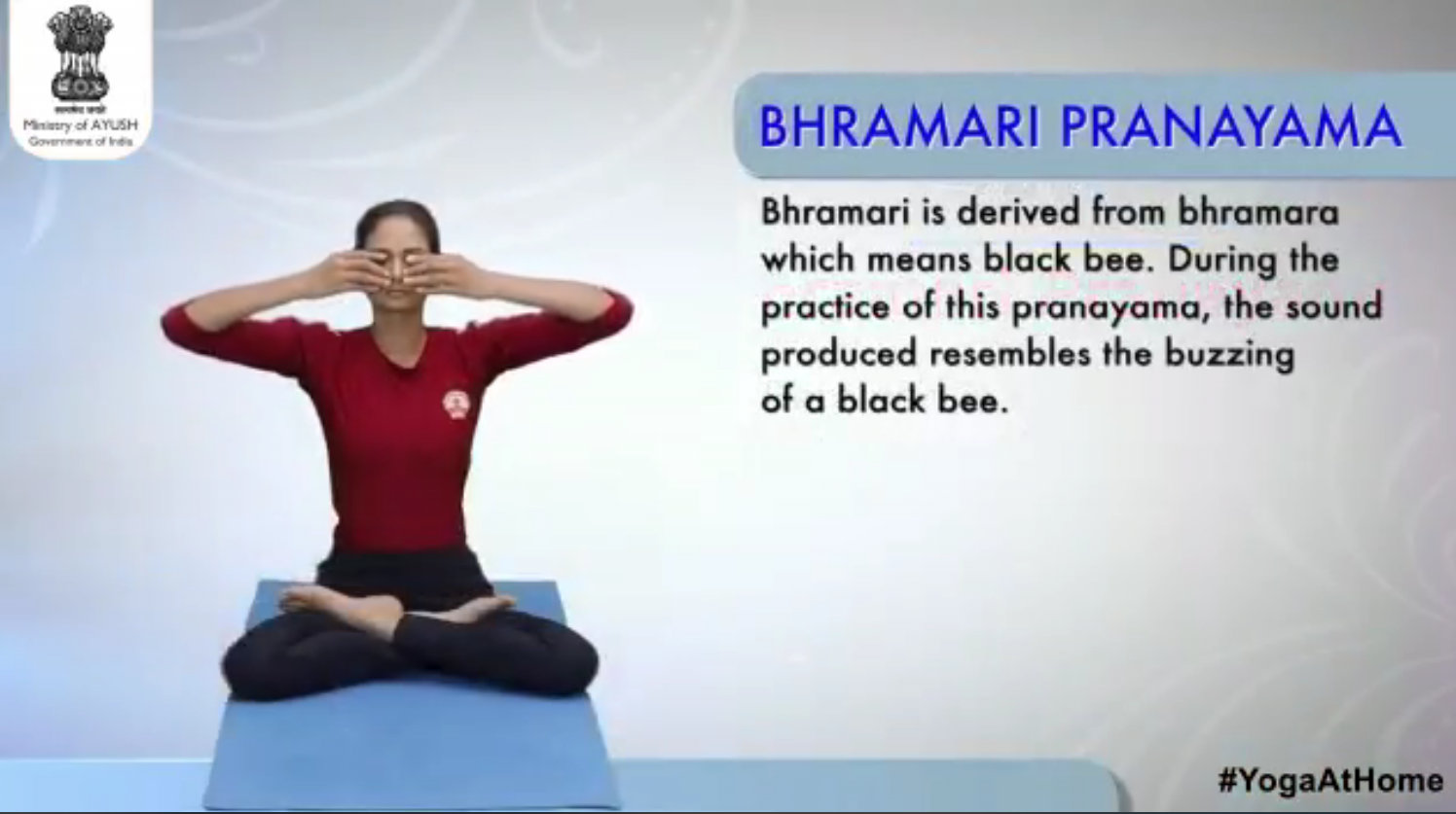 3-bhramari-pranayama.jpg